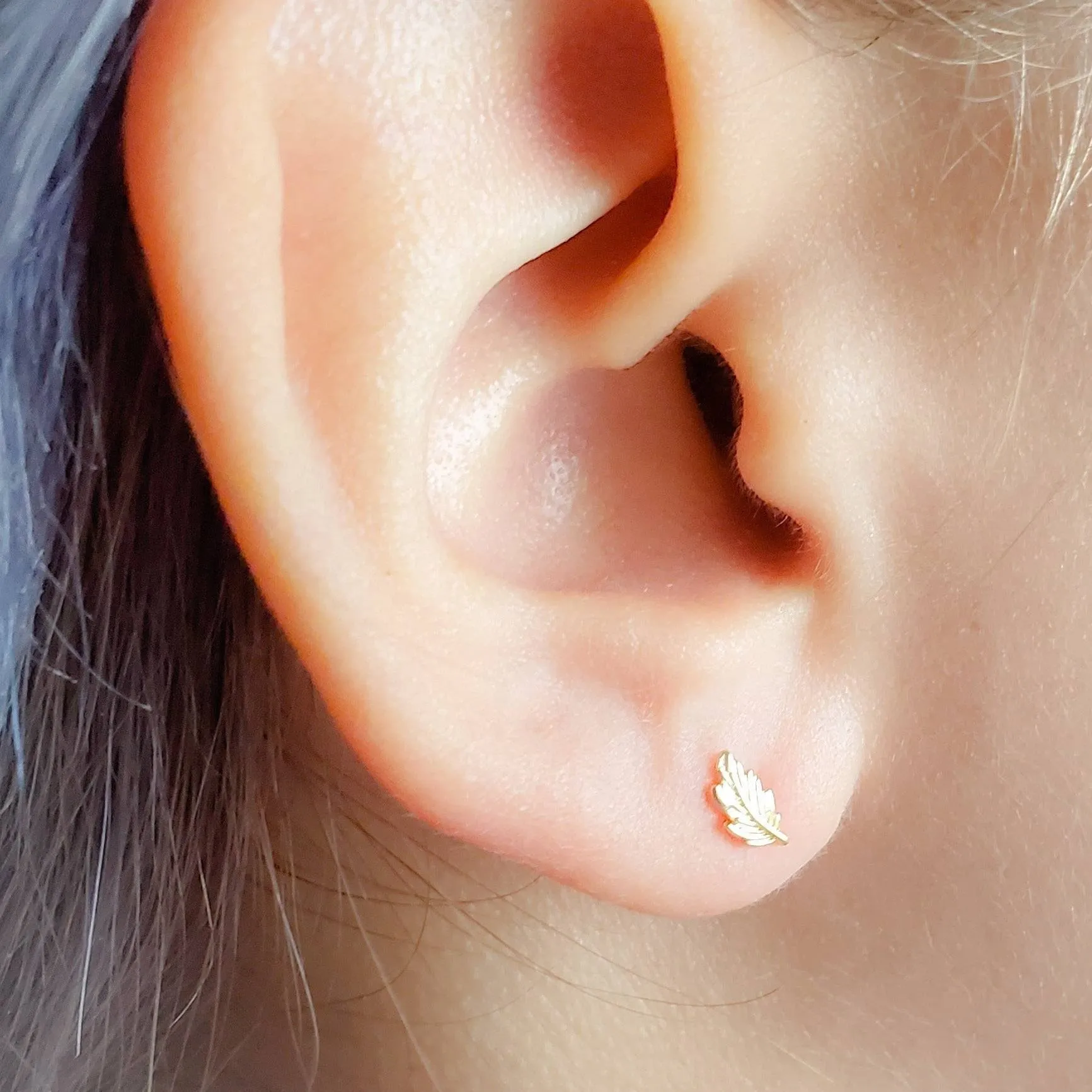 Delicate Feather Studs in 14K Gold