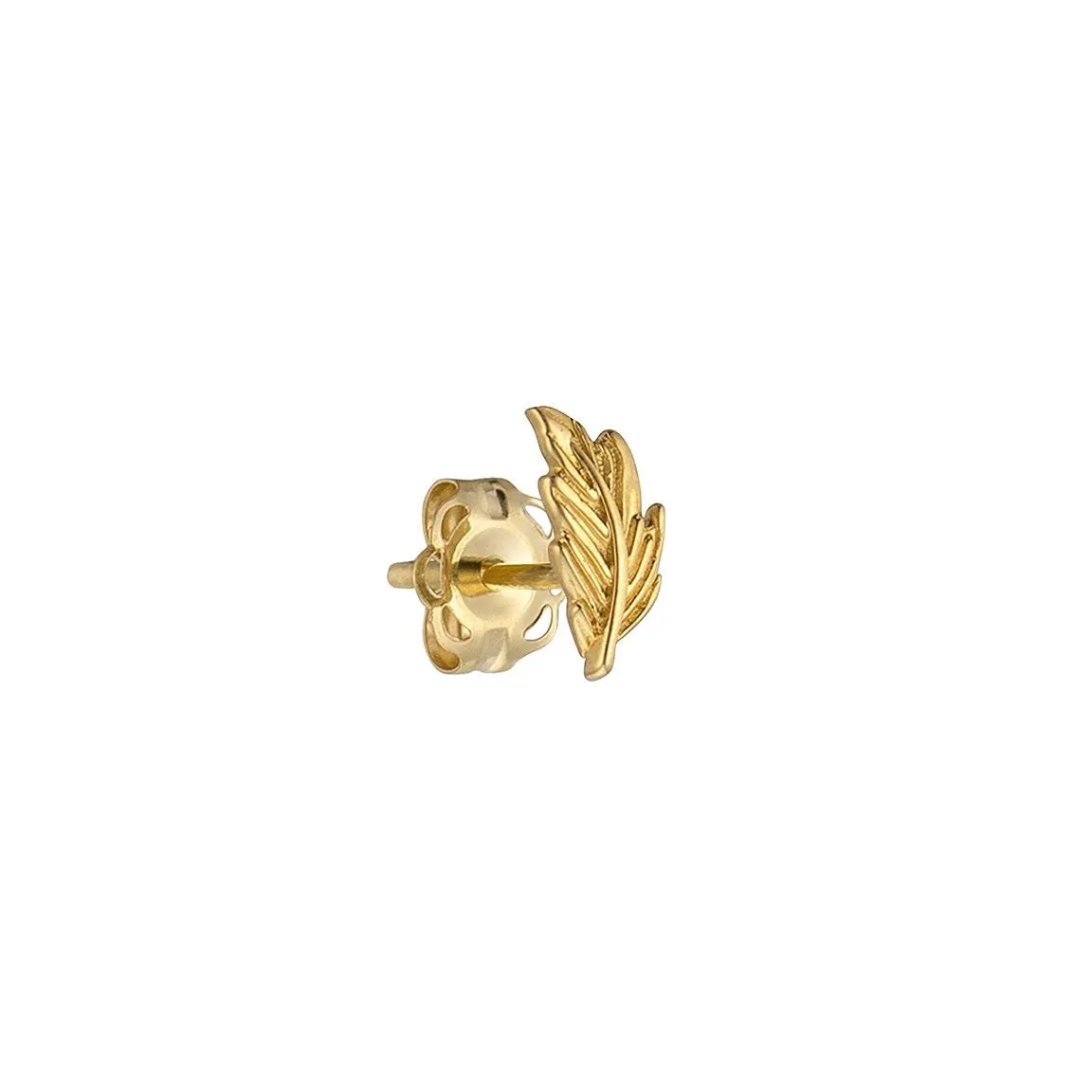 Delicate Feather Studs in 14K Gold