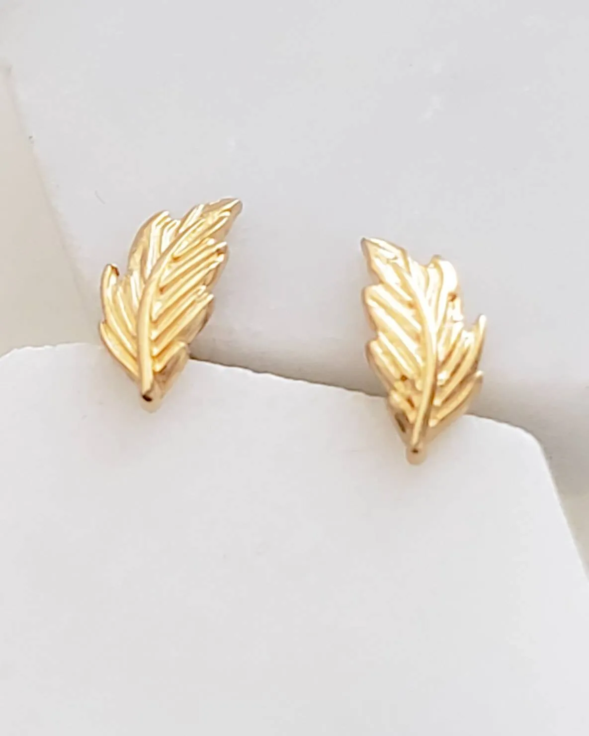 Delicate Feather Studs in 14K Gold