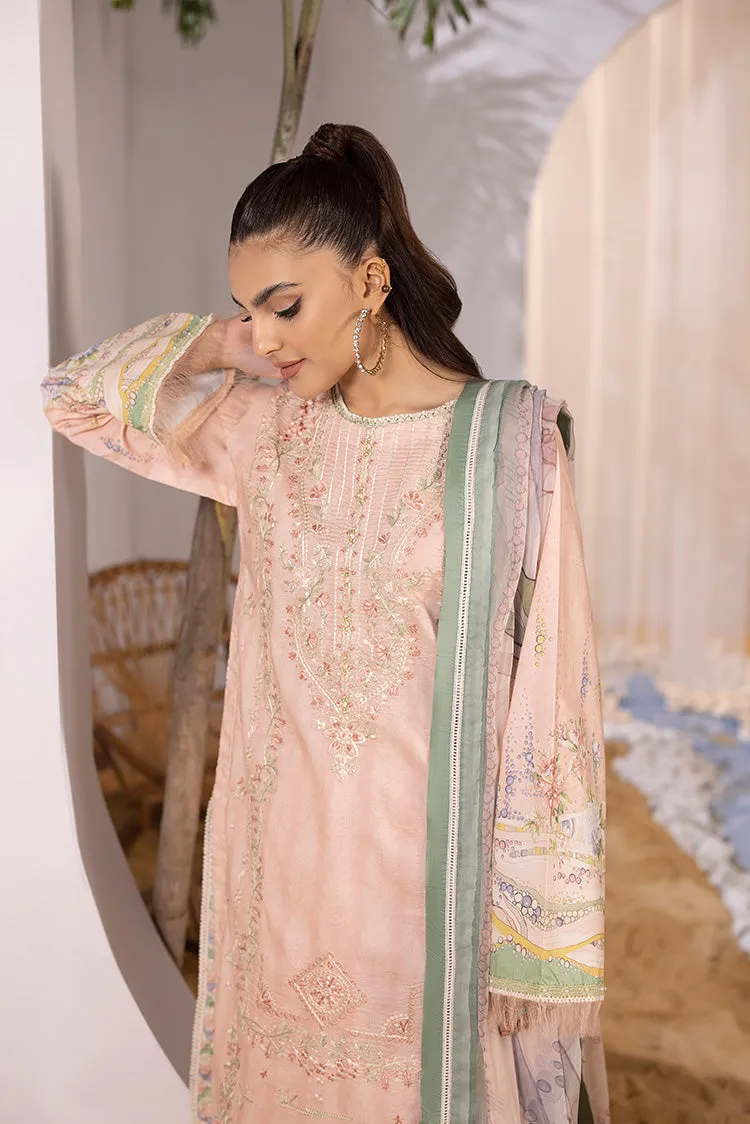 Ellena | Luxury Embroidered Collection| P-01