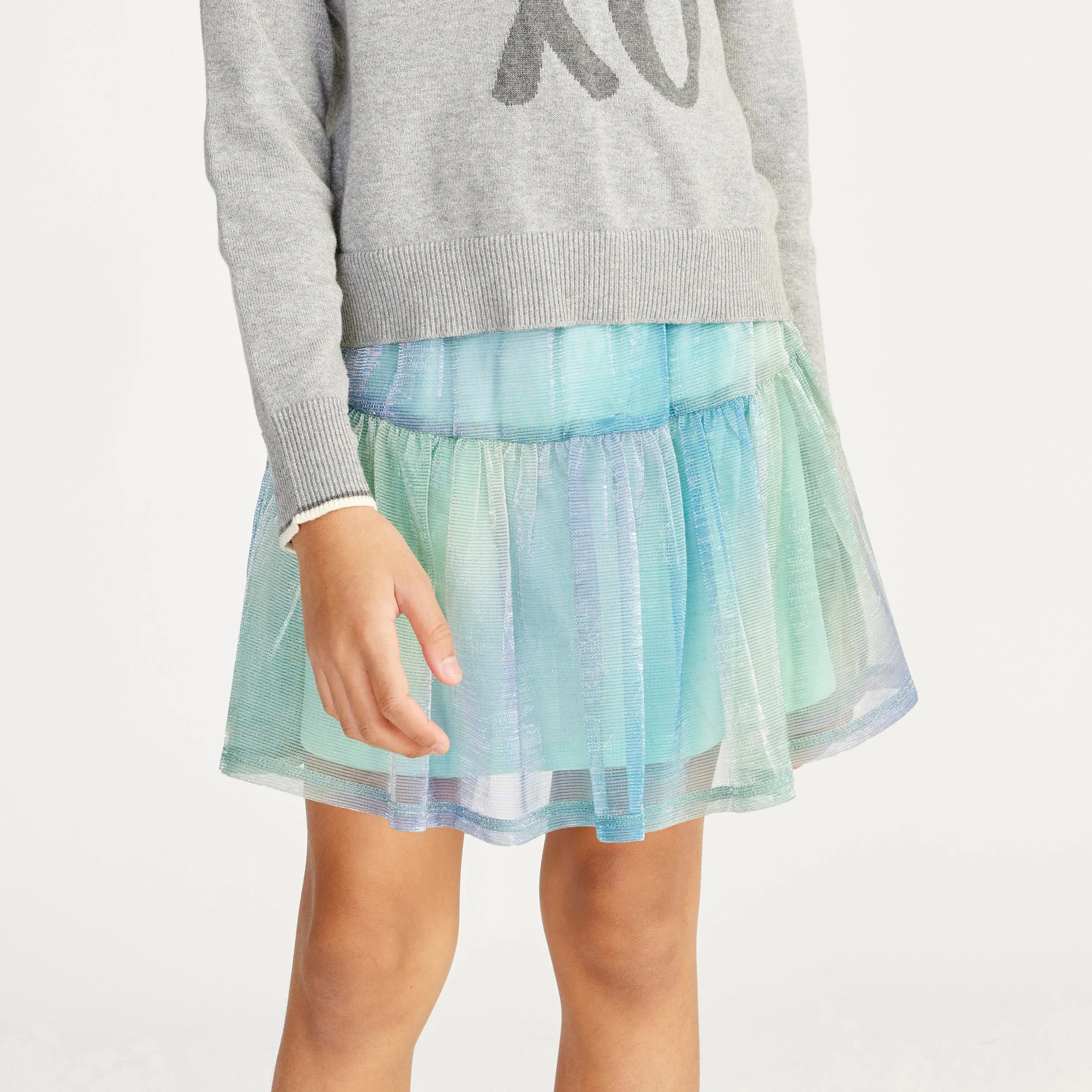 Iridescent Mesh Skirt