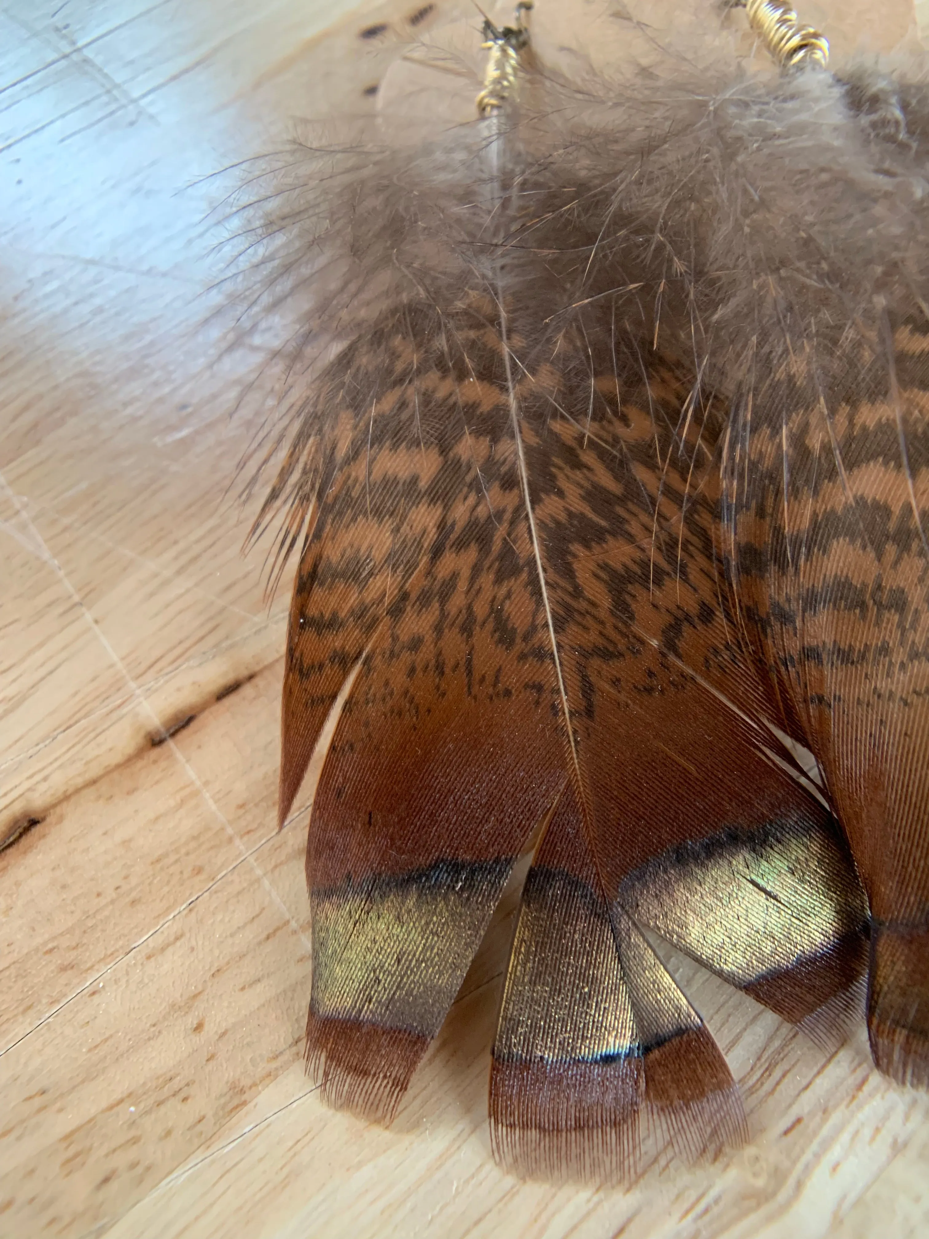 Tennessee Turkey Feather Earrings