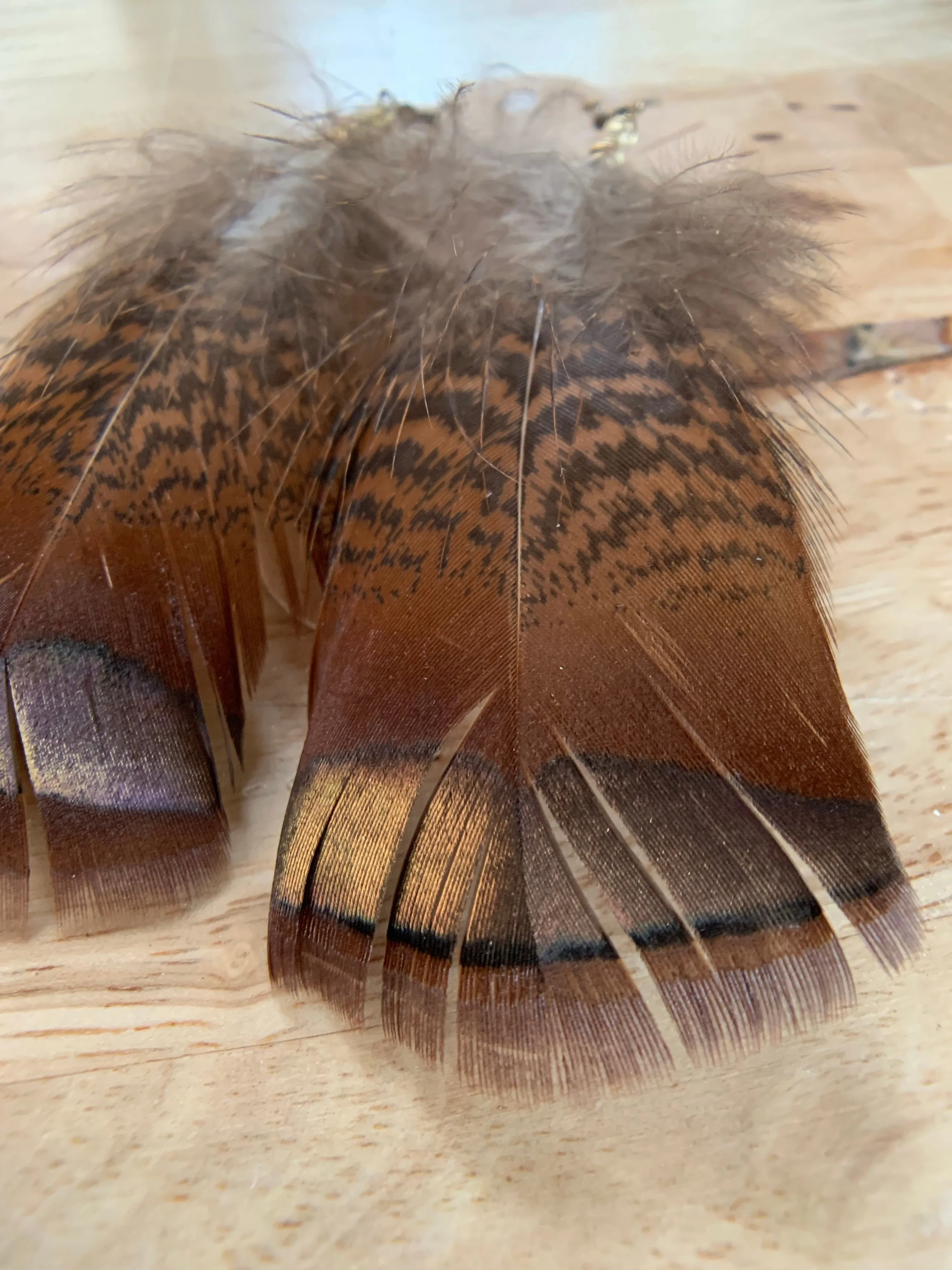 Tennessee Turkey Feather Earrings